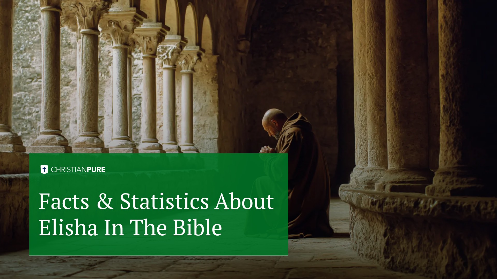 Facts & Statistics about Elisha in the bible Facts & Statistics about Elisha in the bible