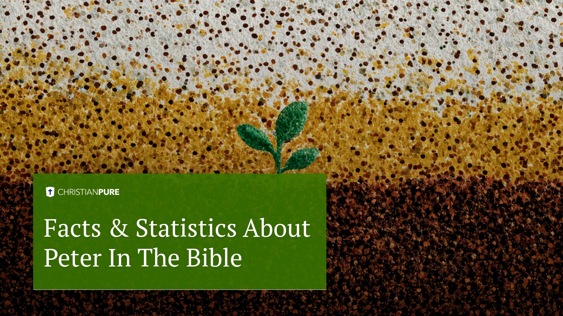 Factos & Estatísticas sobre Peter na Bíblia Factos & Estatísticas sobre Peter na Bíblia