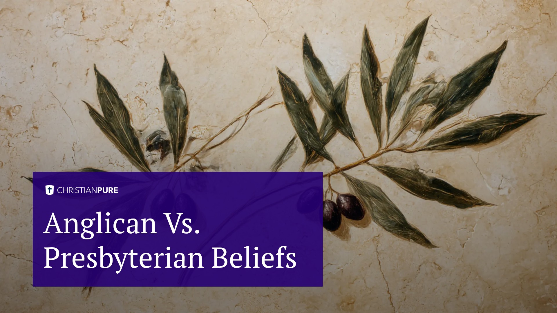 Anglicaanse versus Presbyteriaanse overtuigingen Anglicaanse versus Presbyteriaanse overtuigingen