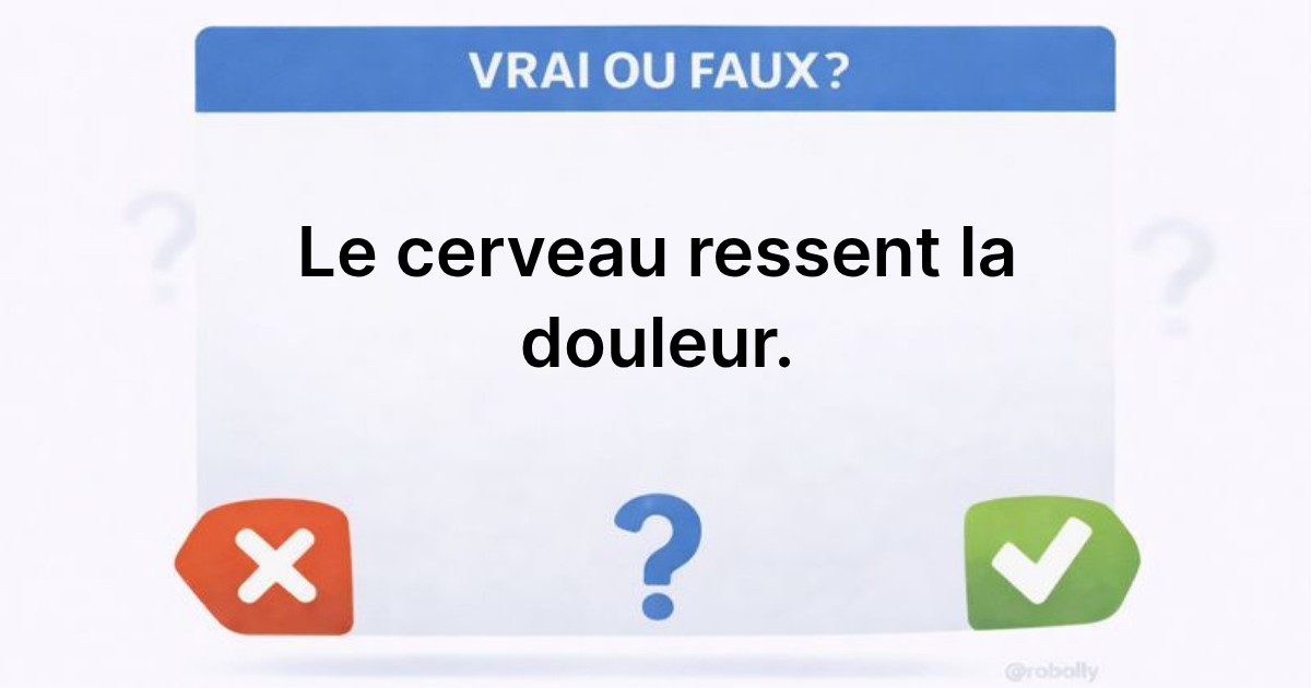 Le cerveau ne ressent pas la douleur : vérités et mythes
