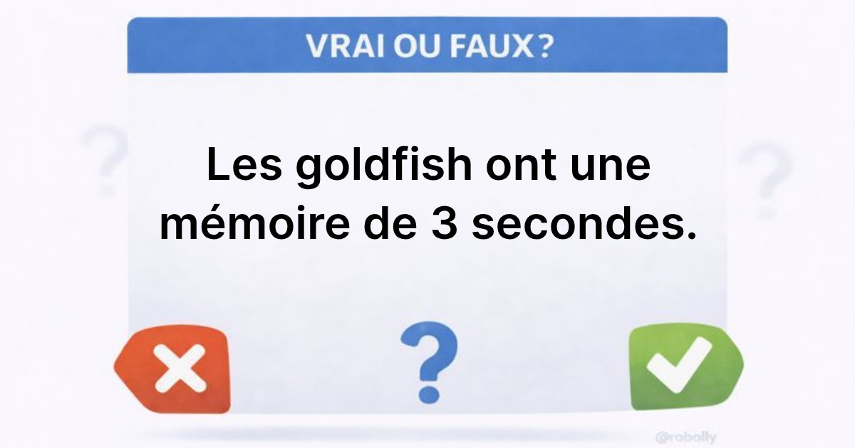 Les poissons rouges et leur mémoire étonnante